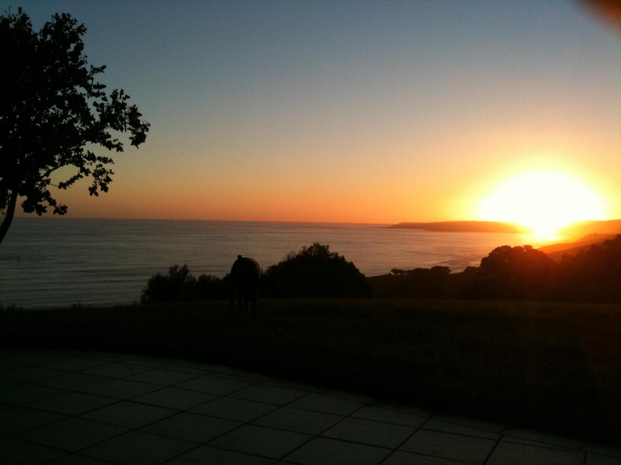 Villa Points South By The Sea Wongarra Exterior foto